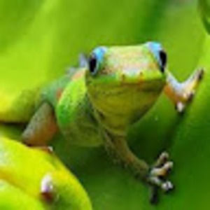 Meet your Posher, Ed